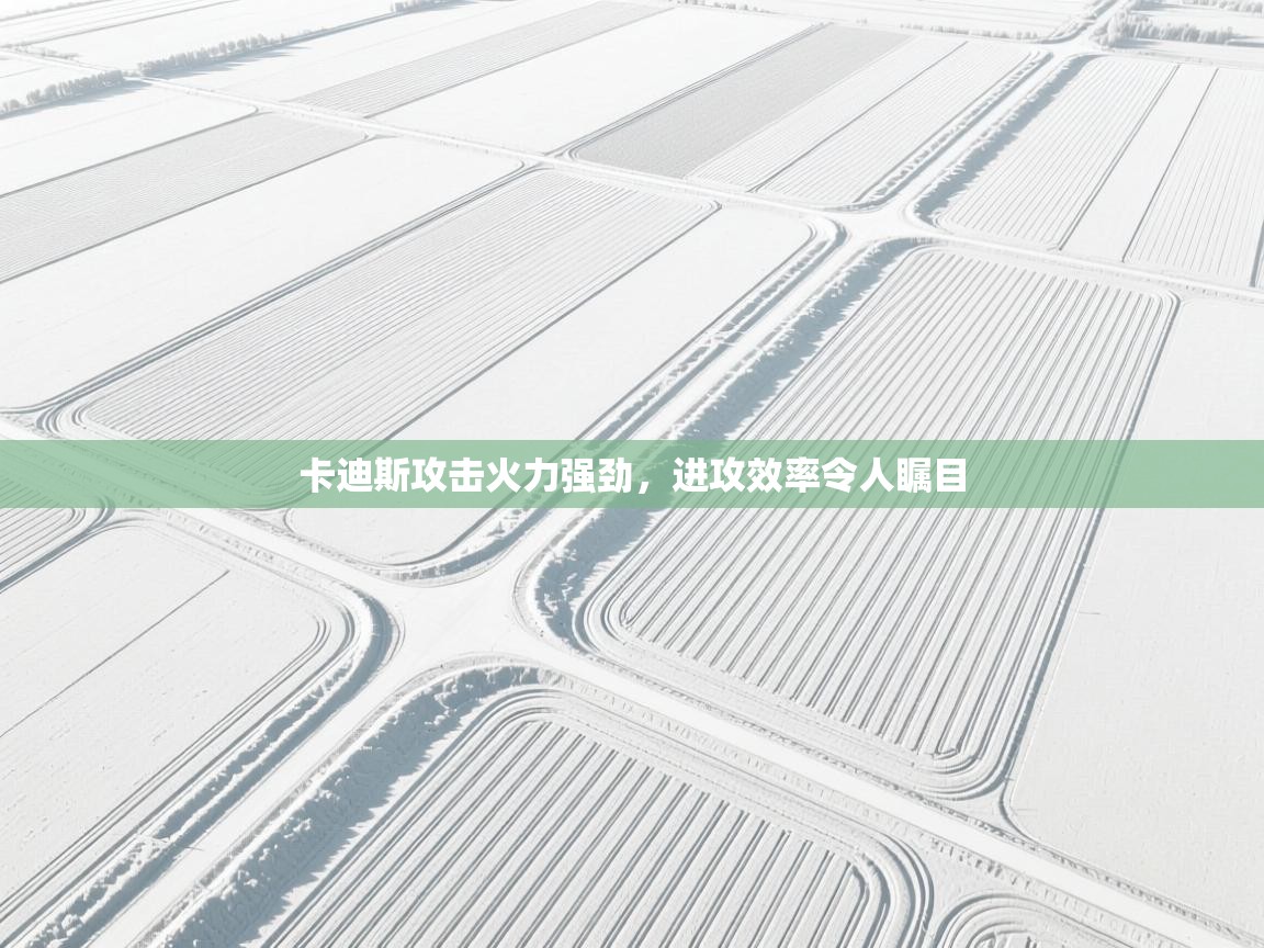 云开体育入口-卡迪斯攻击火力强劲，进攻效率令人瞩目  第1张