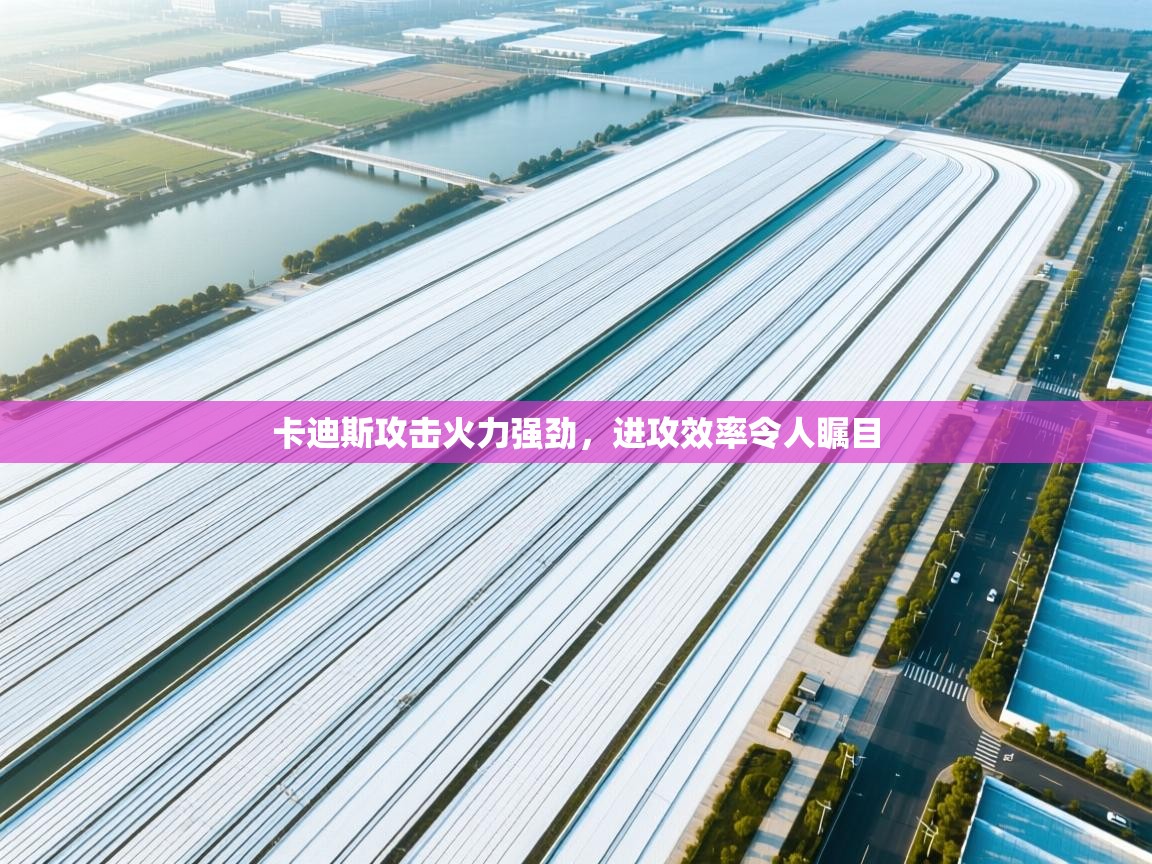 云开体育入口-卡迪斯攻击火力强劲，进攻效率令人瞩目  第2张