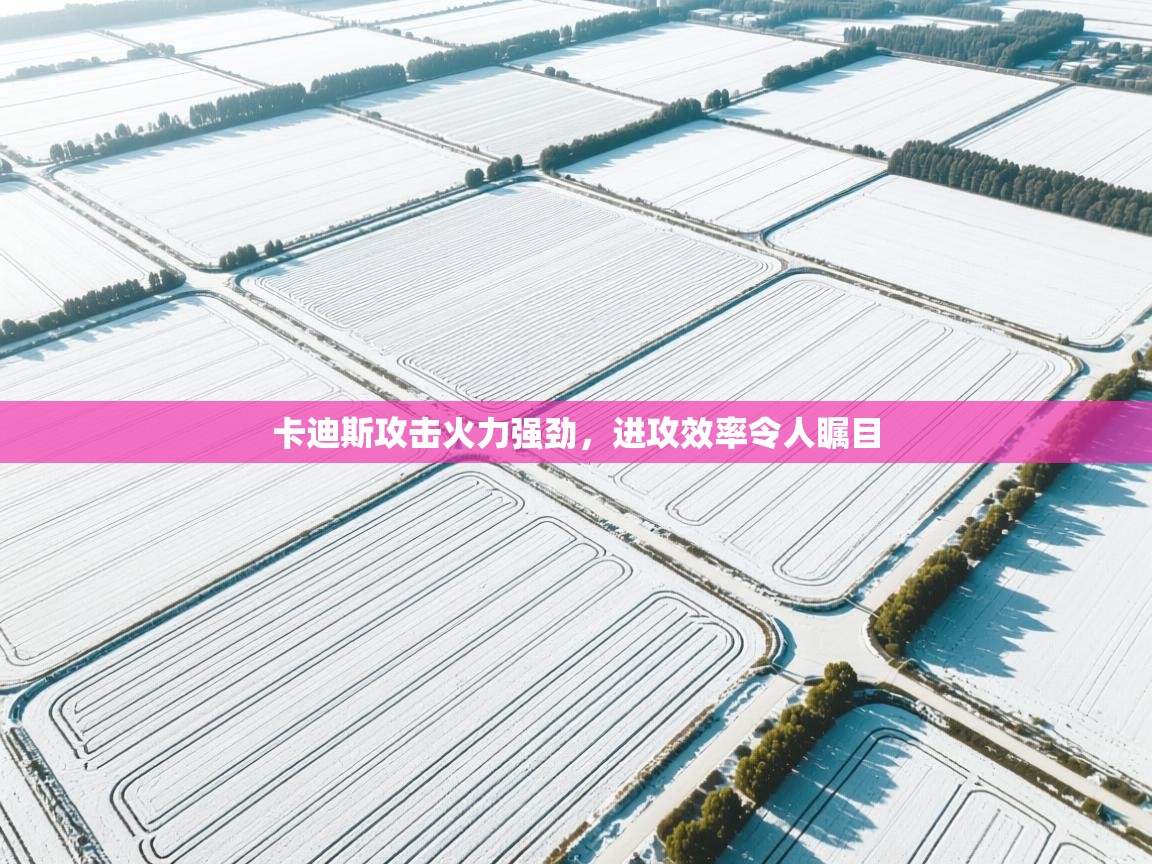 云开体育入口-卡迪斯攻击火力强劲，进攻效率令人瞩目  第4张