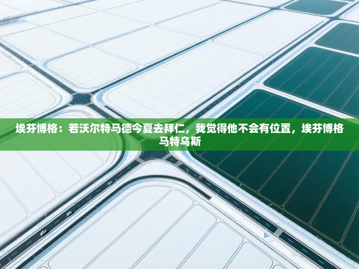 开云体育PC版网页版登录-埃芬博格：若沃尔特马德今夏去拜仁，我觉得他不会有位置，埃芬博格马特乌斯  第1张