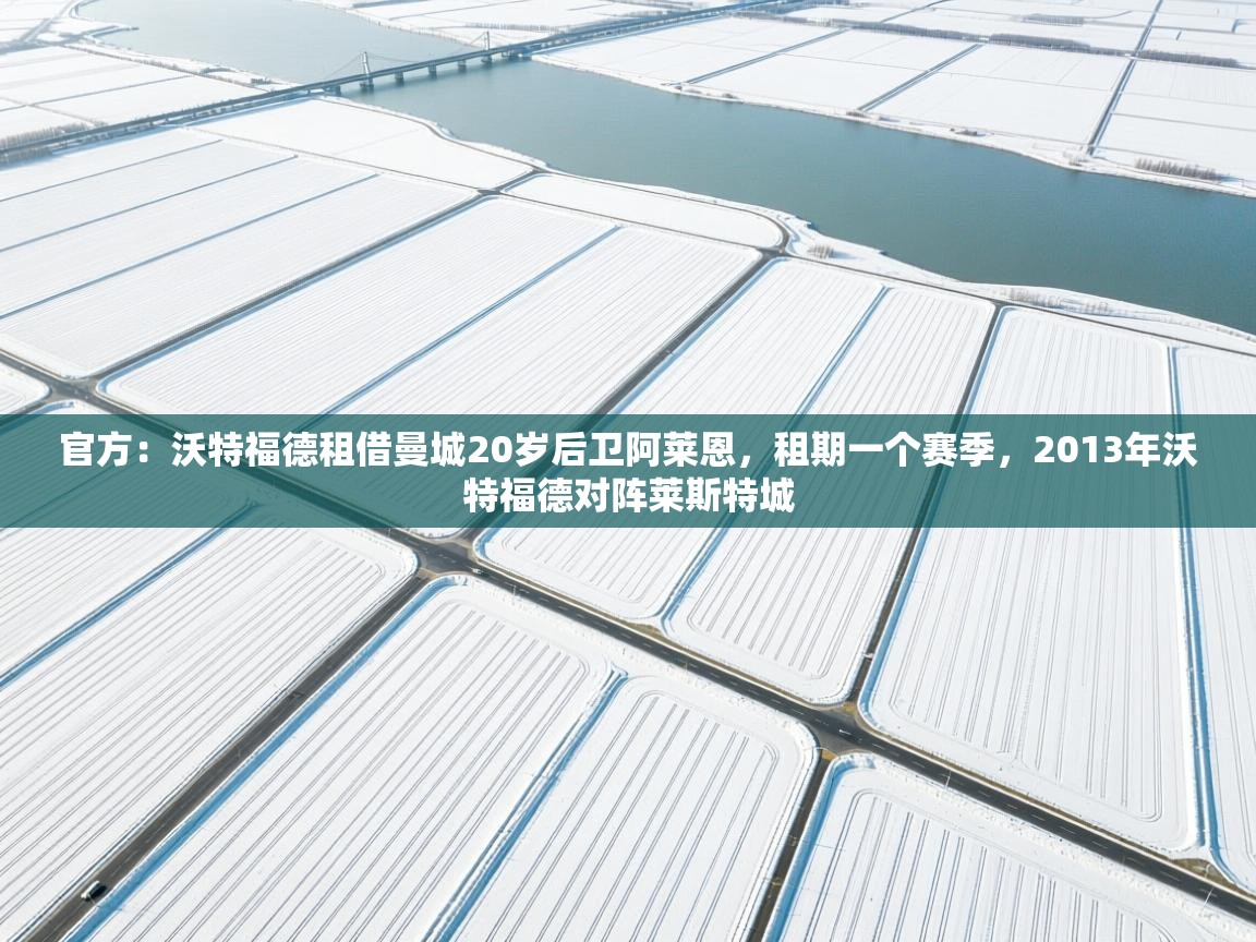 开云中国kaiyun·体育官方网站-官方：沃特福德租借曼城20岁后卫阿莱恩，租期一个赛季，2013年沃特福德对阵莱斯特城  第1张