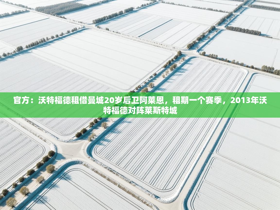 开云中国kaiyun·体育官方网站-官方：沃特福德租借曼城20岁后卫阿莱恩，租期一个赛季，2013年沃特福德对阵莱斯特城  第2张