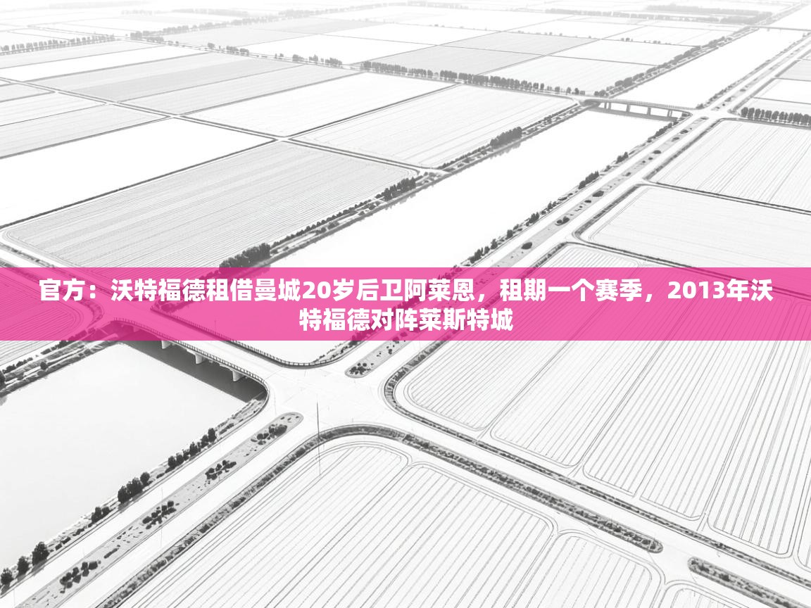 开云中国kaiyun·体育官方网站-官方：沃特福德租借曼城20岁后卫阿莱恩，租期一个赛季，2013年沃特福德对阵莱斯特城  第3张