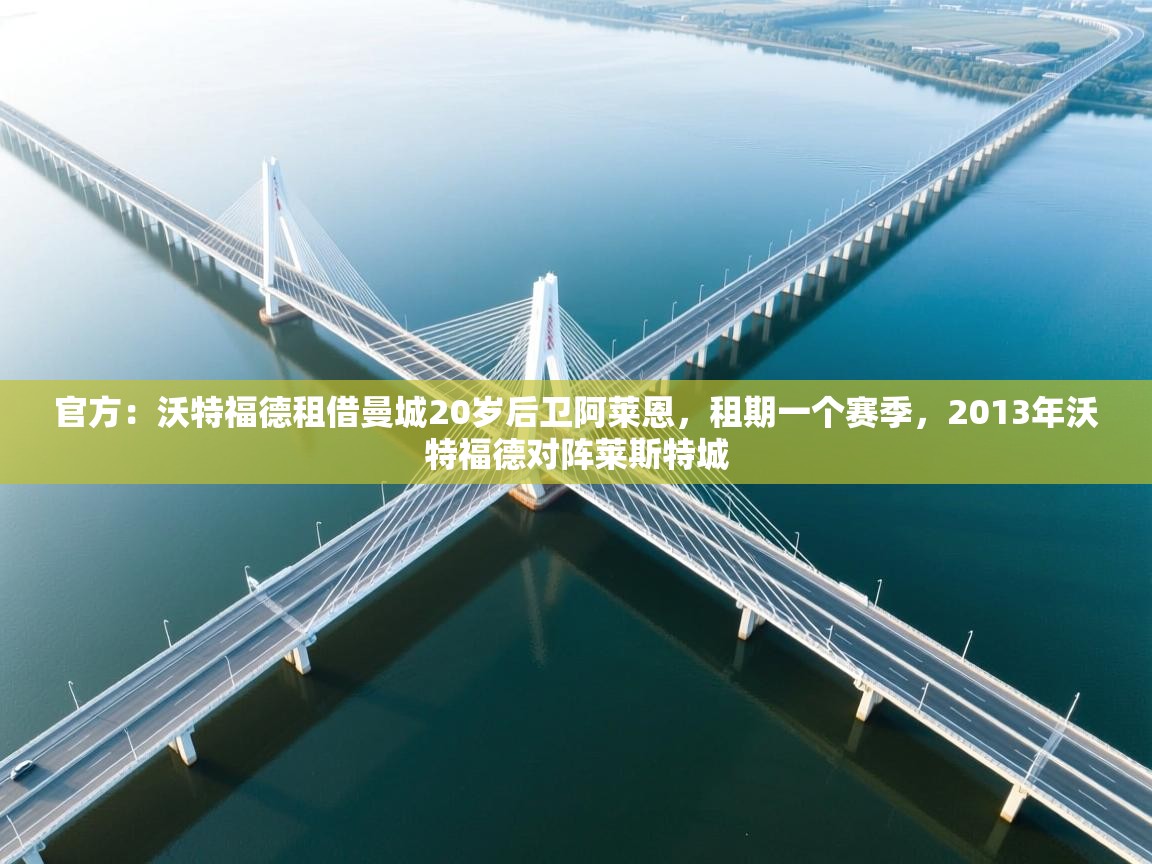 开云中国kaiyun·体育官方网站-官方：沃特福德租借曼城20岁后卫阿莱恩，租期一个赛季，2013年沃特福德对阵莱斯特城  第4张