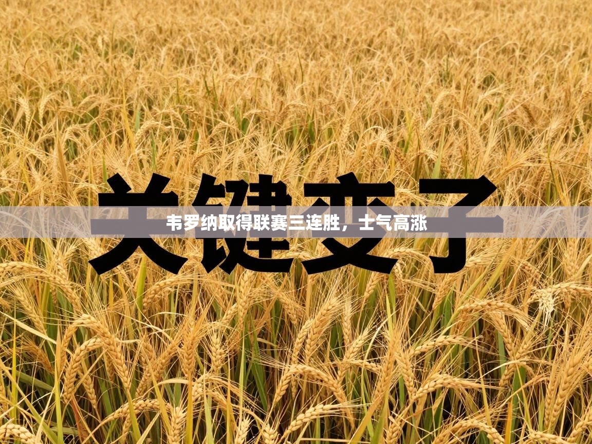 开云直播-韦罗纳取得联赛三连胜，士气高涨