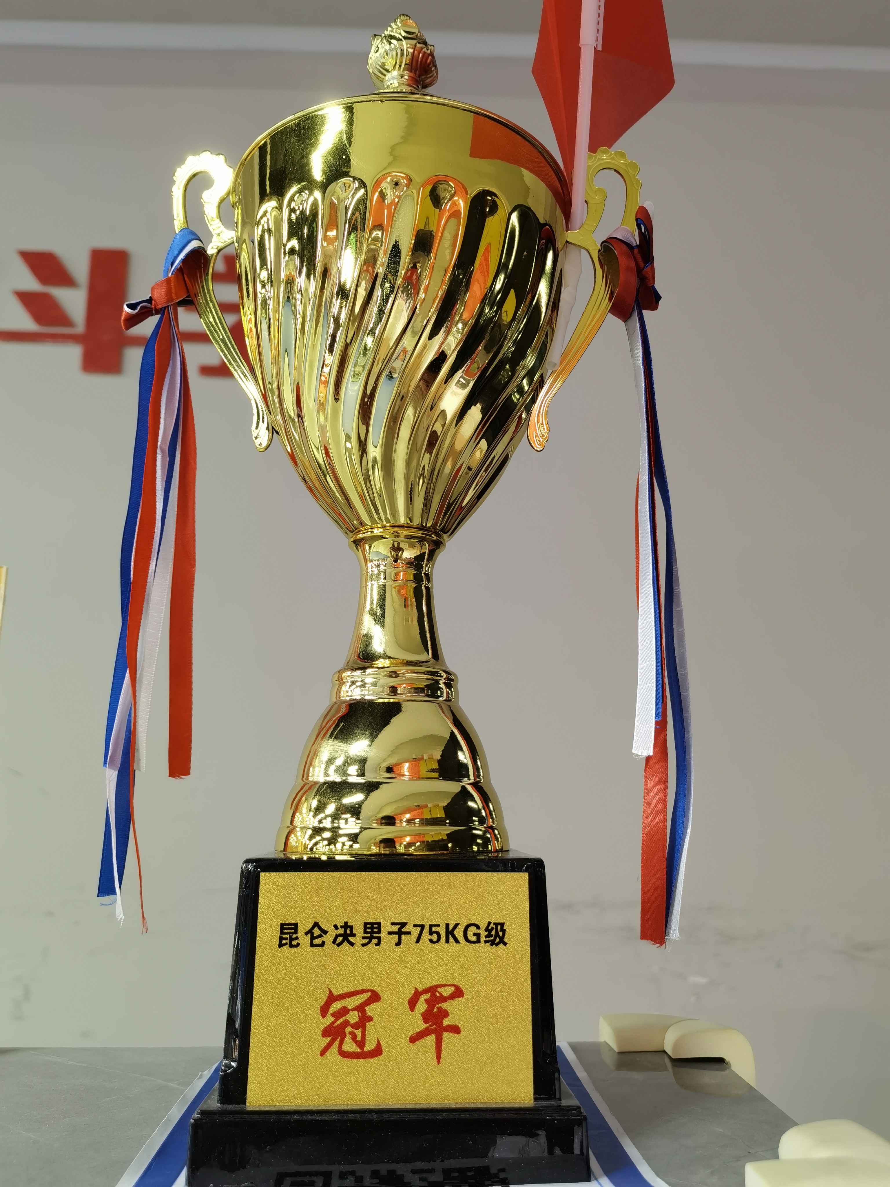 开yun体育官网-马来西亚选手在格斗比赛中勇敢拼搏